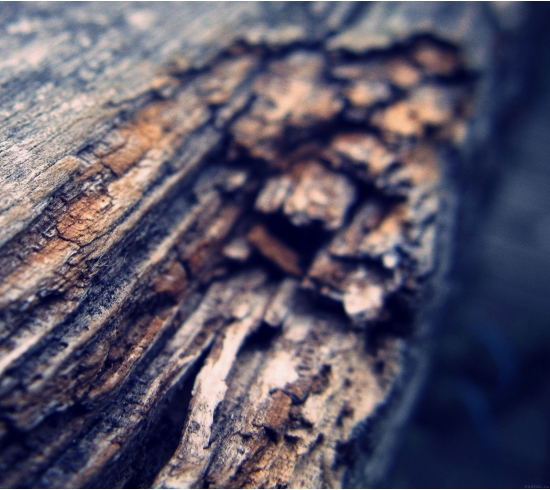 Sản phẩm rất tốt